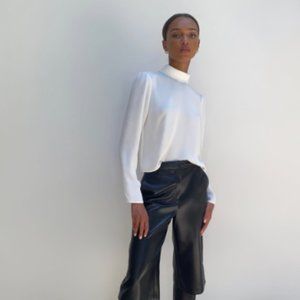 Aritzia Babaton Mockneck Campbell Blouse